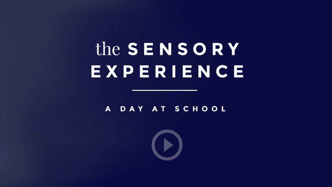 sensory_experience